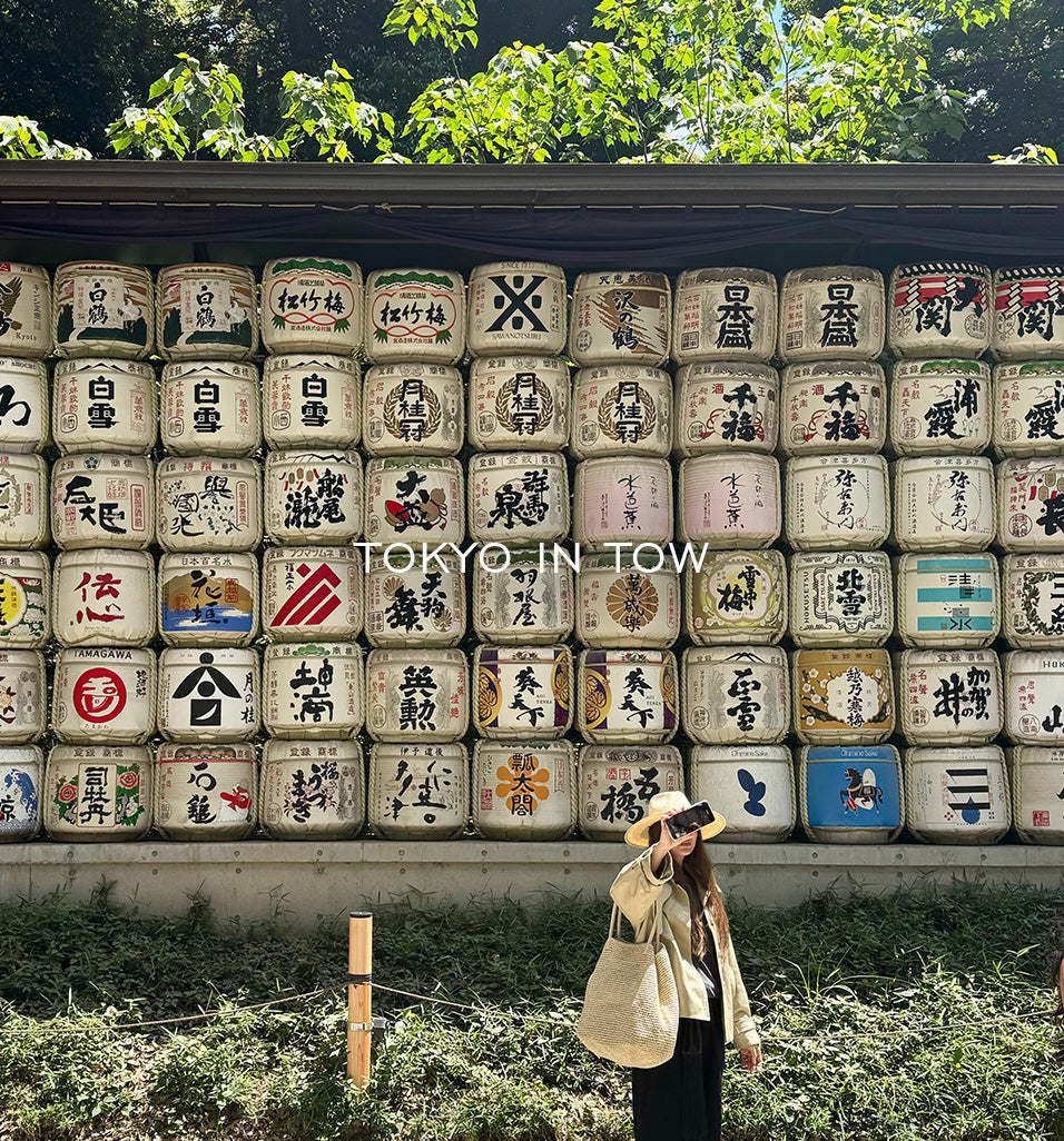 Travel Guide to Japan